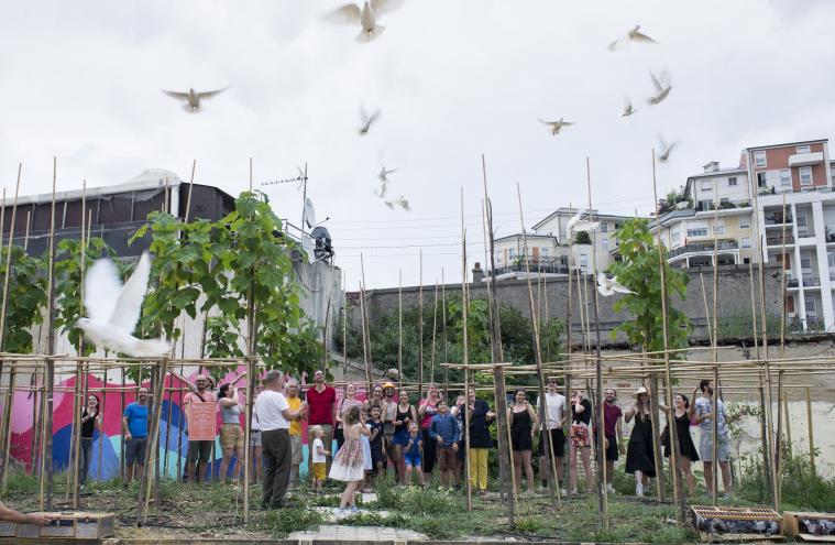 Lâché de colombes lors de la fête d’adoption des Paulownias dans le cadre du projet Appel d’Air