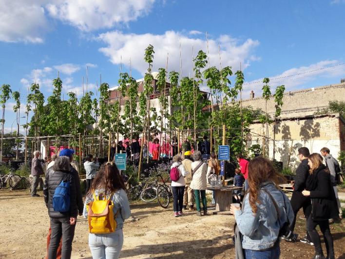 Un groupe de personnes devant les Paulownias dans la pépinière de Vive les Groues dans le cadre du projet Appel d’Air