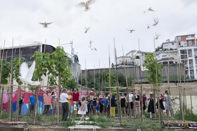 Lâché de colombes à Vive Les Groues pour la fête des arbres